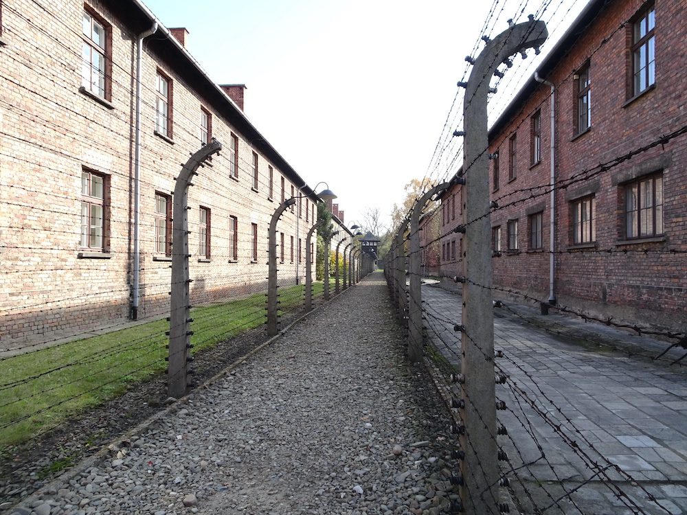 Auschwitz-Birkenau fence